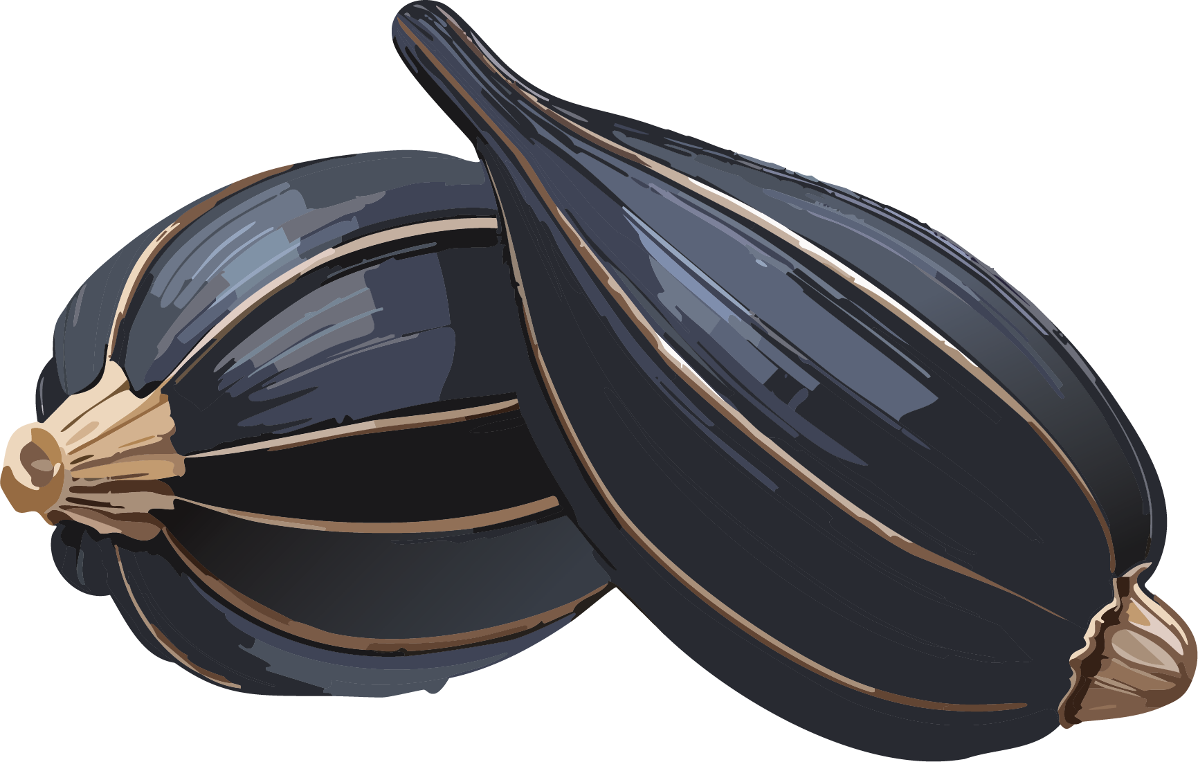 Black Cardamom