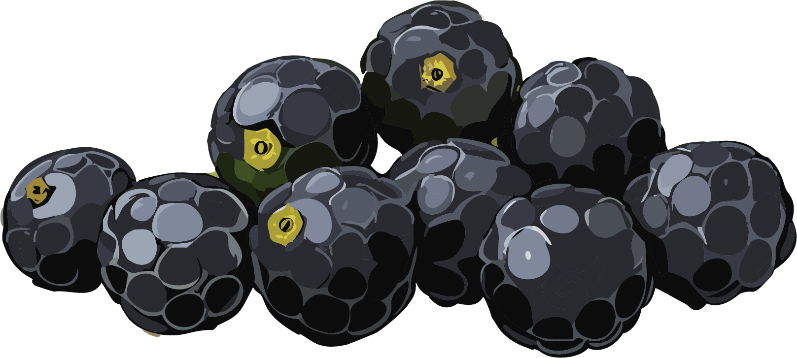 Black peppercorns