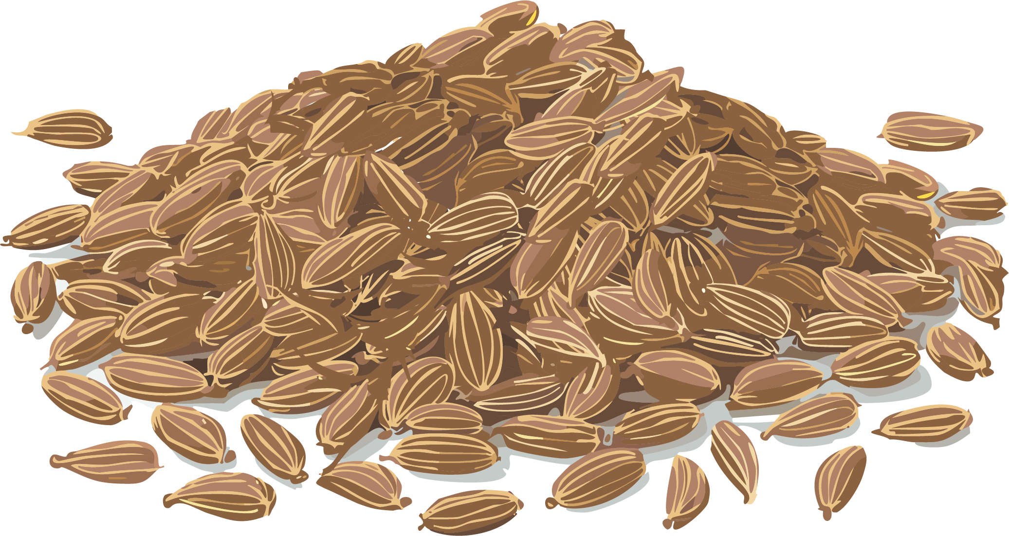 Caraway Seeds