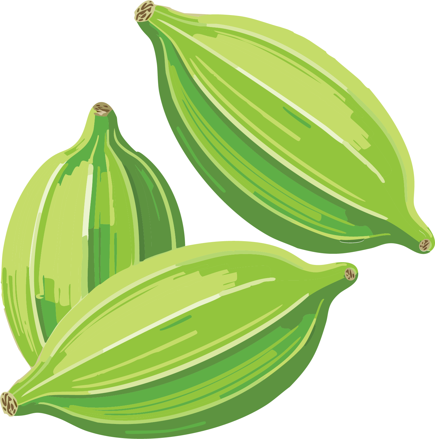 Cardamom