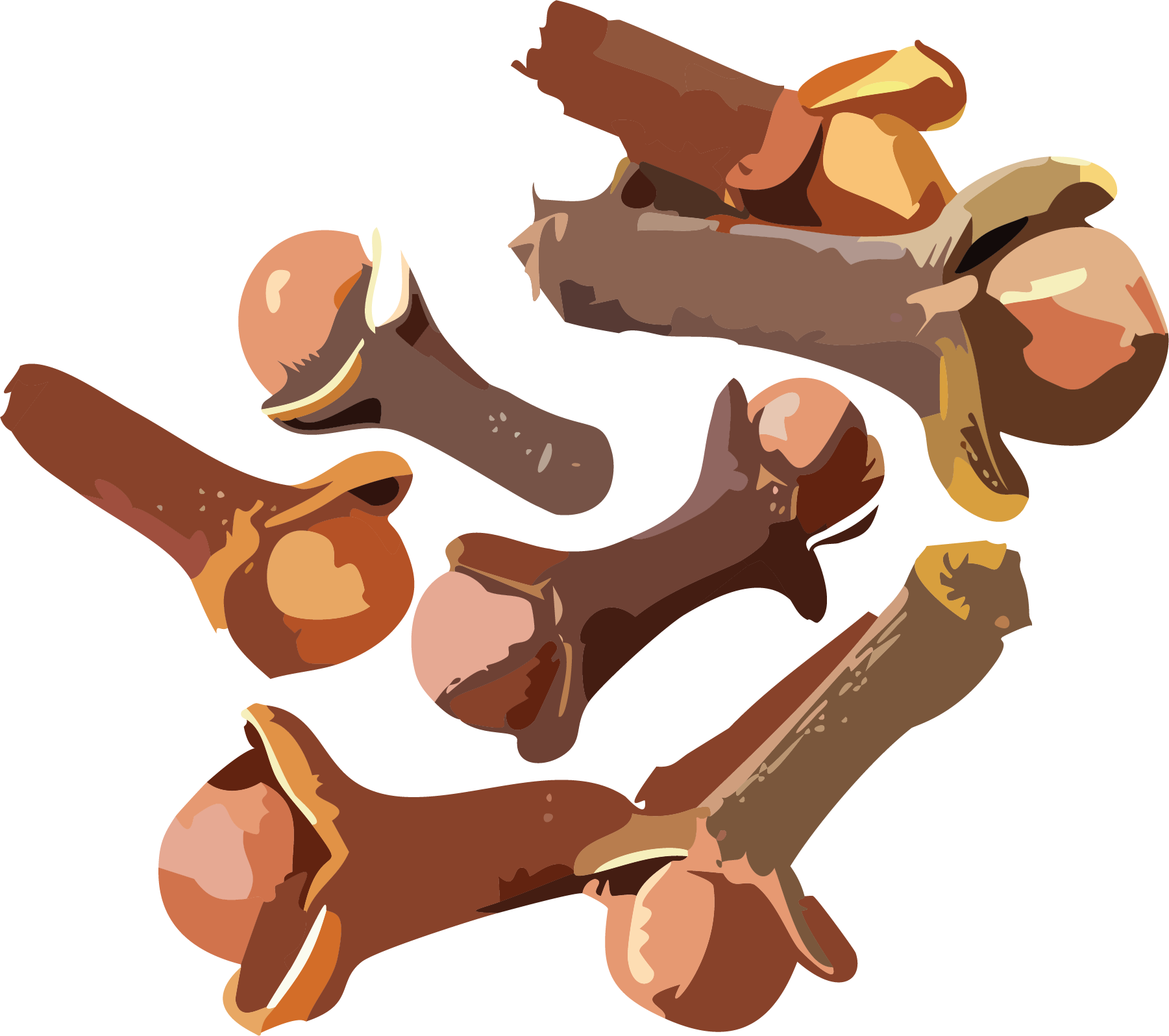 Cloves