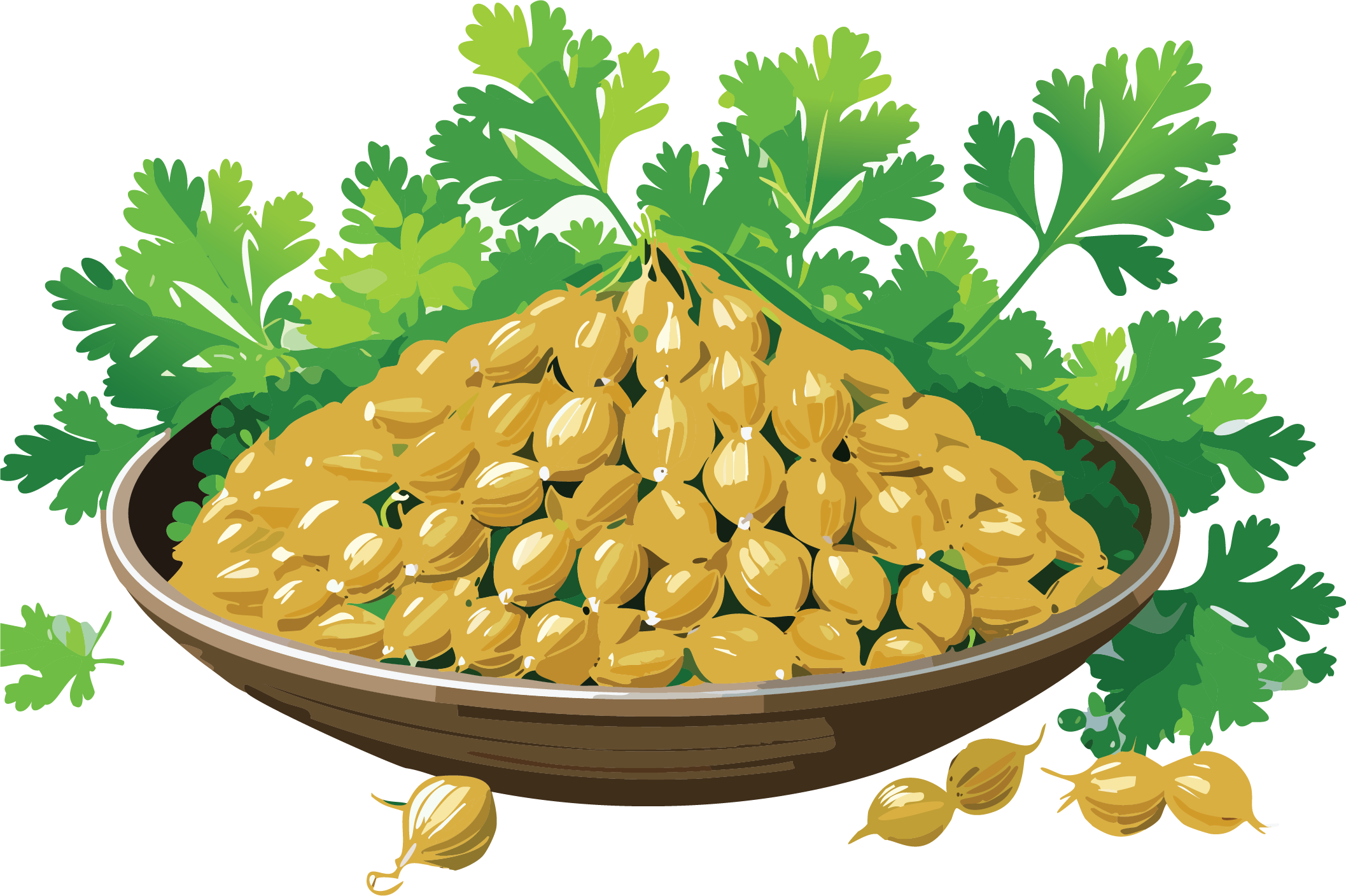 Coriander Seeds