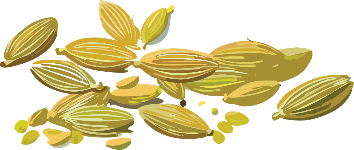 Fennel seeds
