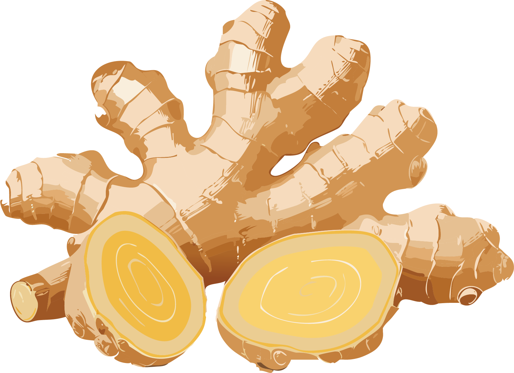 Ginger root