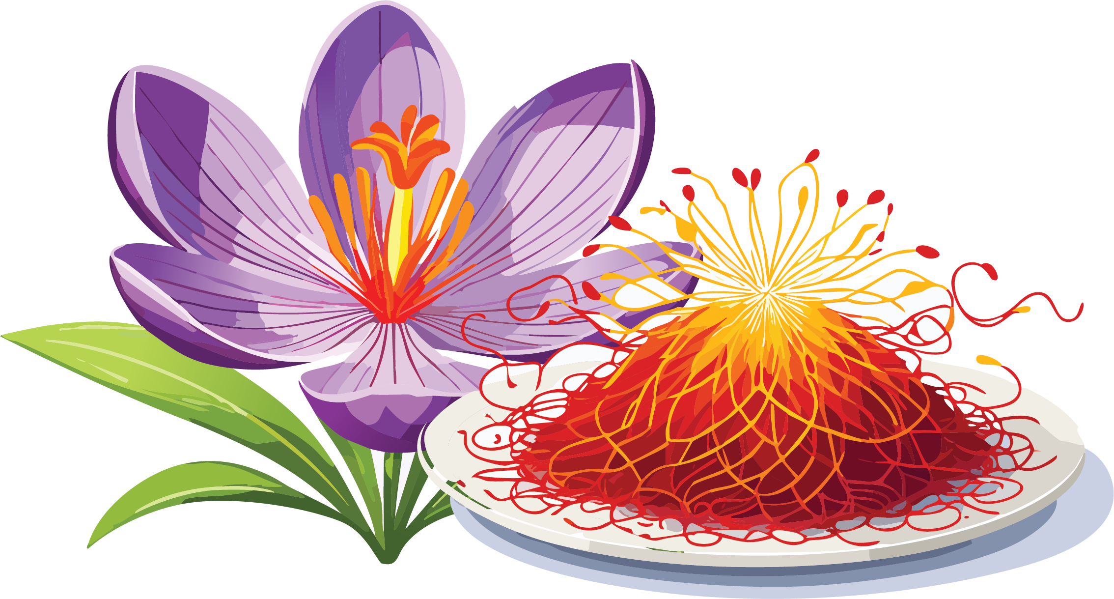 Saffron threads