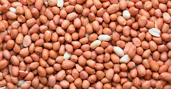 Peanuts – Groundnuts